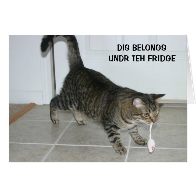 Cartão do gato de LOL (Frente Horizontal)