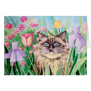 Cartão do Gato Siameses Birmanês Fofinho Molly Har