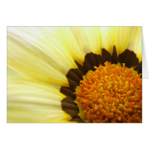 Cartão do Gazania