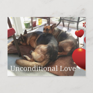 Cartão do german shepherd