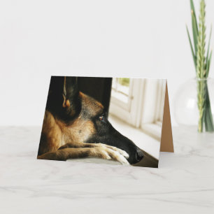 Cartão do german shepherd