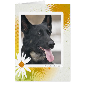 Cartão do german shepherd