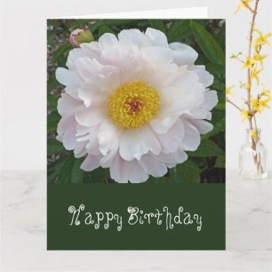 Cartão Do Grupo Xtra Large Birthday card/floral