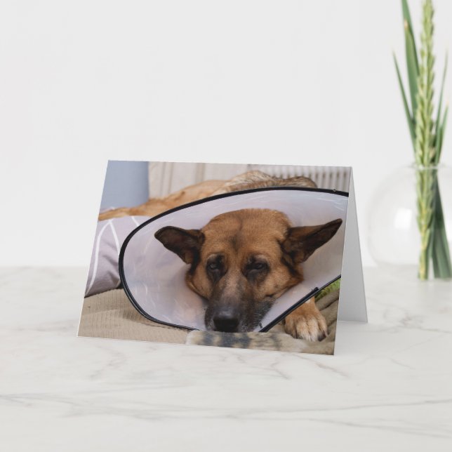 Cartão "Do I Have To Wear This?" (Frente)