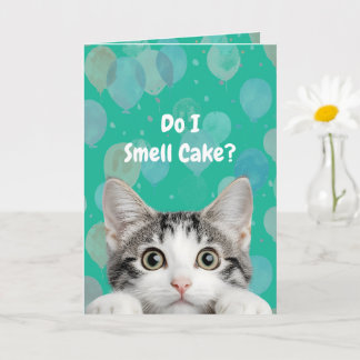 Cartão Do I Smell Cake Cute kitten Birthday Card