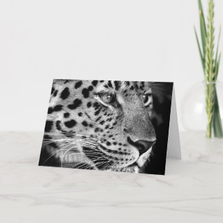 Cartão do leopardo #1-Greeting