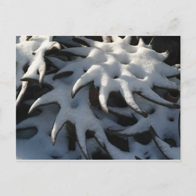 Cartão do Natal da roda do cultivador do trator (Frente)