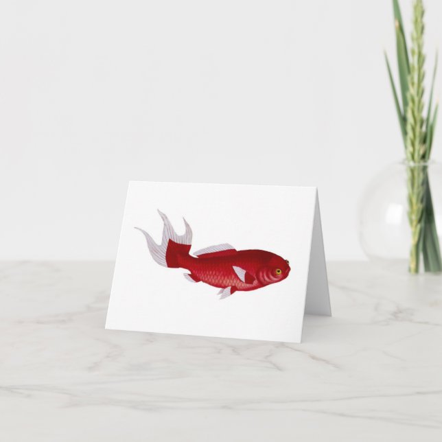 Cartão do peixe dourado de Bloch (Frente)