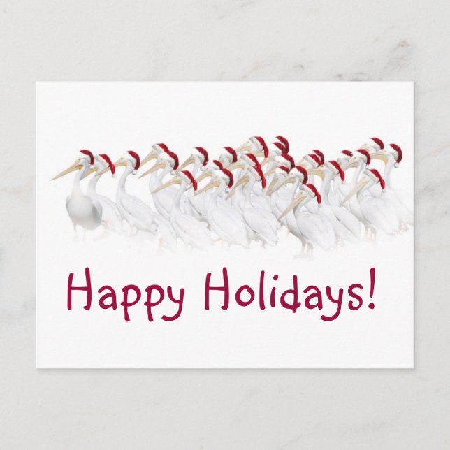 Cartão do pelicano boas festas! (Frente)