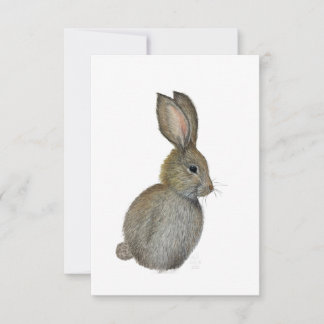 Cartão do Pequeno Coelho Cinzento - Obra de Arte O
