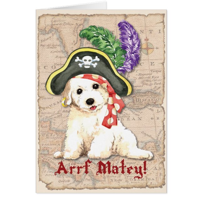 Cartão do pirata de Bichon Frise (Frente)