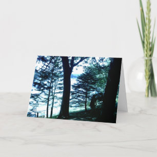 Cartão do poema da beleza do lago goose (WI de