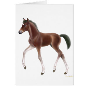 Cartão do potro trotar