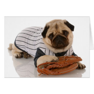 Cartão do Pug do basebol