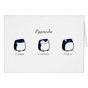 Cartão do Pygoscelis
