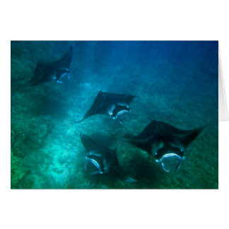 Cartão do raio de Manta