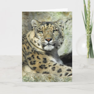 Cartão do retrato de Lepord da neve