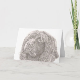 Cartão do Spaniel de campo