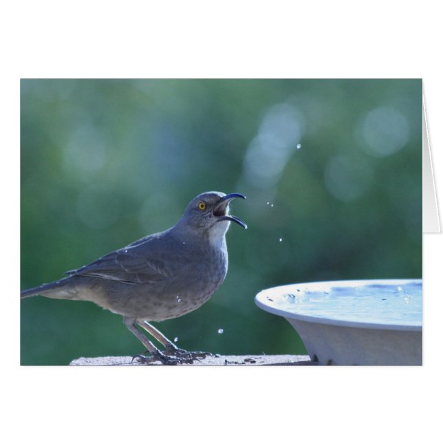 Cartão do Splasher de Thrasher (Frente horizontal)