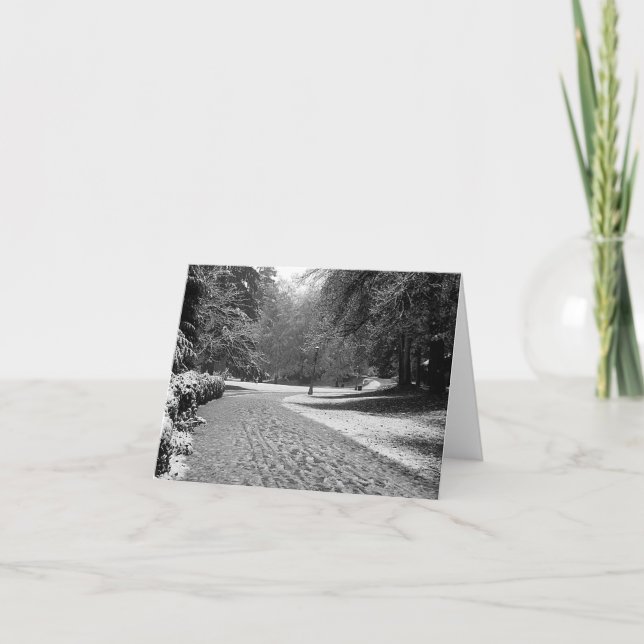 Cartão do Stroll do inverno do parque de (Frente)