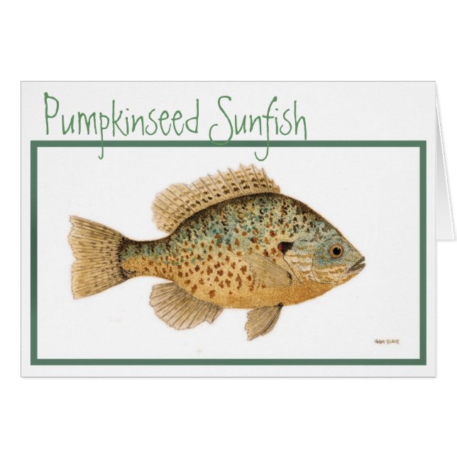 Cartão do Sunfish de Pumpkinseed (Frente Horizontal)