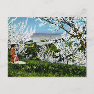 Cartão do vale de Santa Clara do vintage