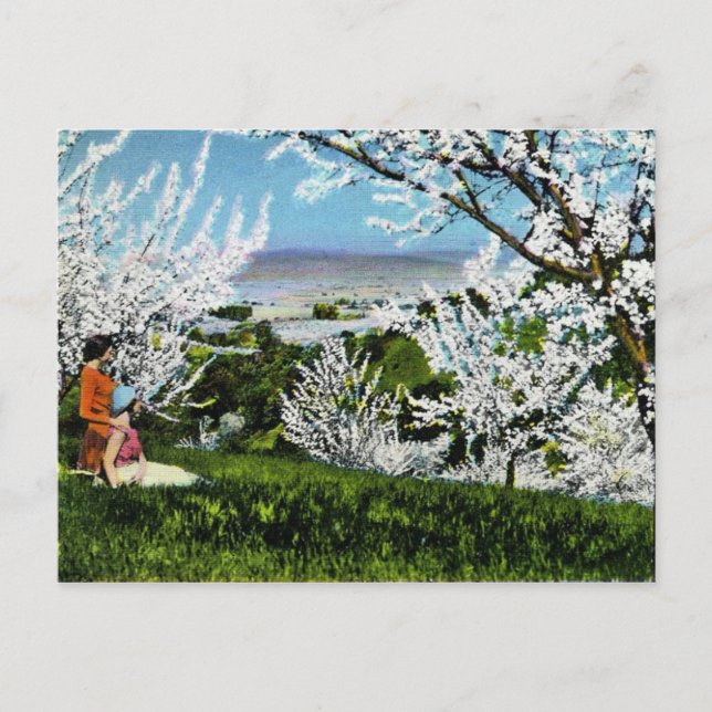 Cartão do vale de Santa Clara do vintage (Frente)