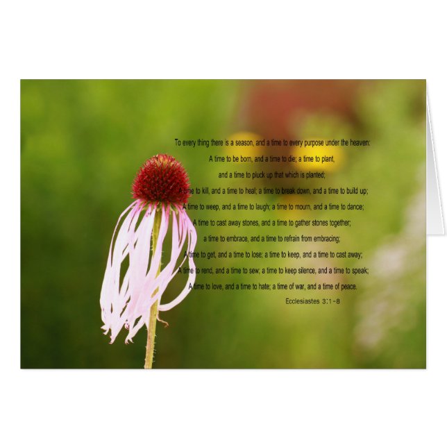 Cartão do verso de Ecclesiastes (Frente horizontal)