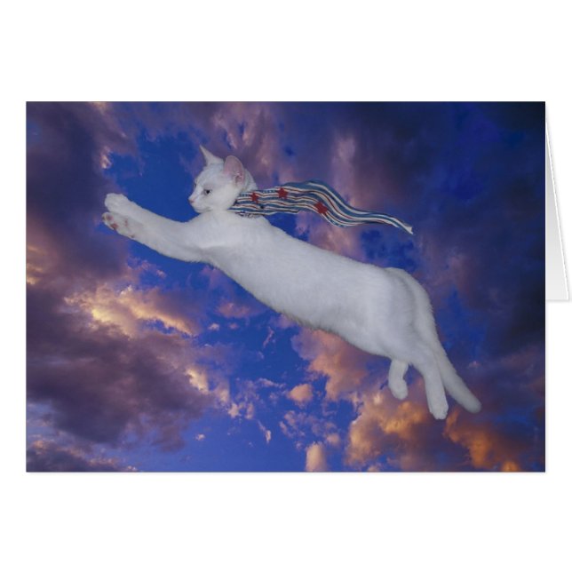 Cartão do vôo da serenidade (Frente Horizontal)