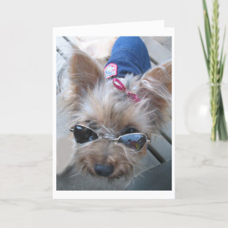 cartão do yorkie