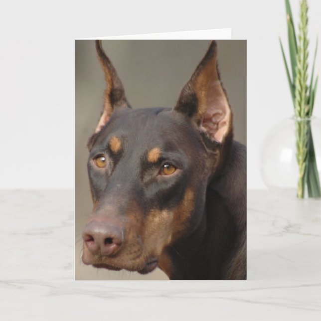 Cartão Doberman (Frente)