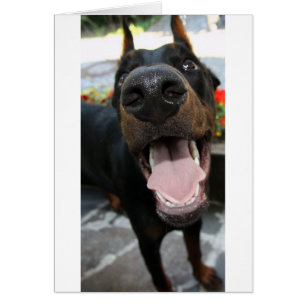 Cartão doberman-close