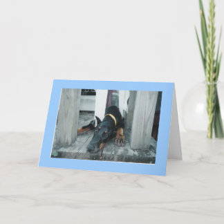 Cartão Doberman, gostaria que você estivesse aqui