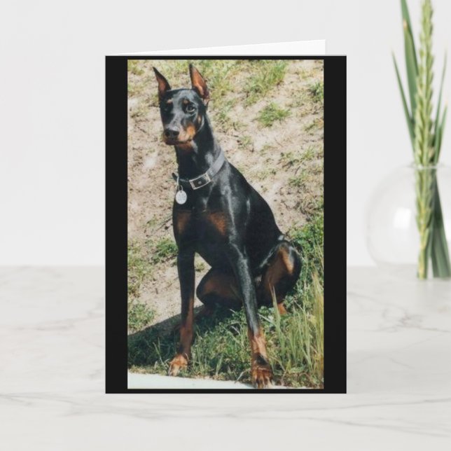 Cartão Doberman greeting card (Frente)