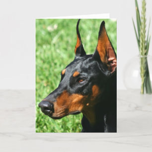 Cartão Doberman Pinscher greeting card