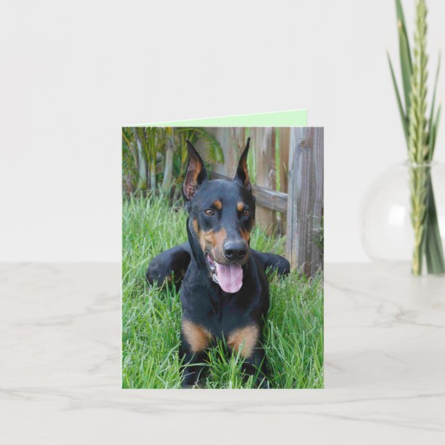 Cartão Doberman Pinscher Puppy Dog Blank Note Card (Frente)