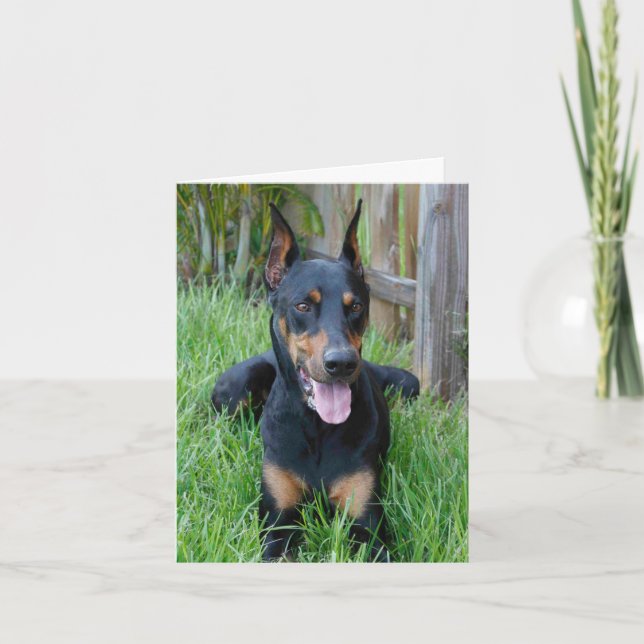 Cartão Doberman Pinscher Puppy Dog Blank Note Card (Frente)