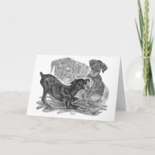 Cartão Doberman Pinscher Pups Drawing by Kelli Swan