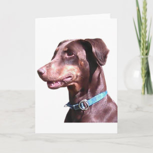 Cartão Doberman Pinscher Vermelho