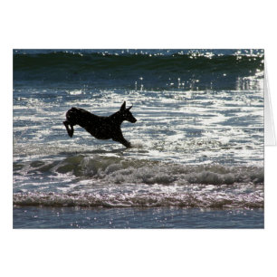 Cartão Doberman - preto - pulo do oceano