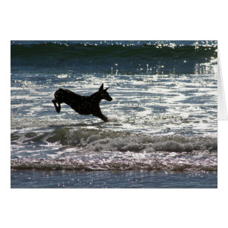 Cartão Doberman - preto - pulo do oceano