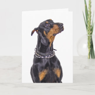 Cartão Doberman With Sneaky Look Who Me?