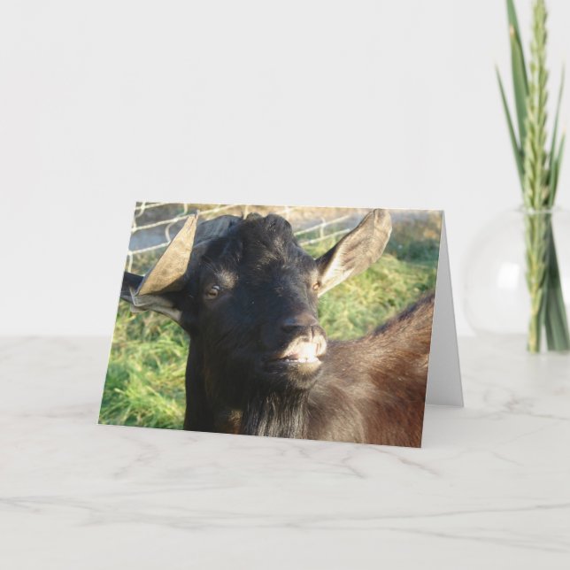 Cartão Dobie the Alpine Billy (Frente)