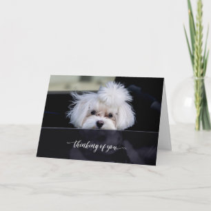 Cartão Dobrado Pensando em Você