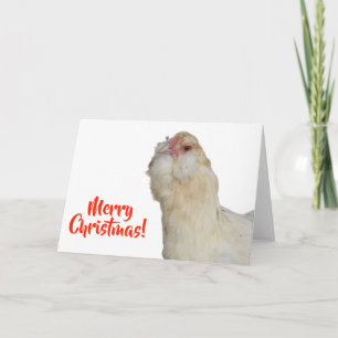 Cartão Doce Galinha Wheaten Ameraucana Rara Feliz Natal