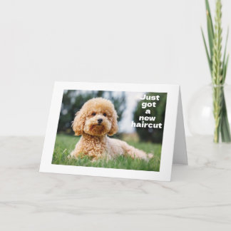 Cartão DOCE TEDDY BEAR diz "FELIZ "60 ANOS"