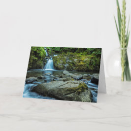 Cartão Doces Cachos de Creek