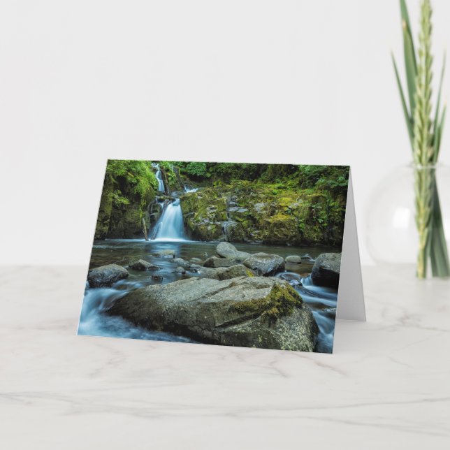 Cartão Doces Cachos de Creek (Frente)