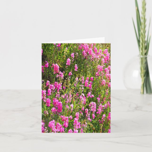 Cartão Doces na colina... (Frente)