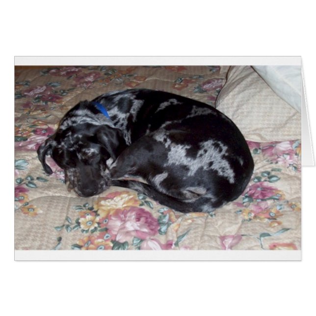 Cartão Doces Sonhos (Frente Horizontal)